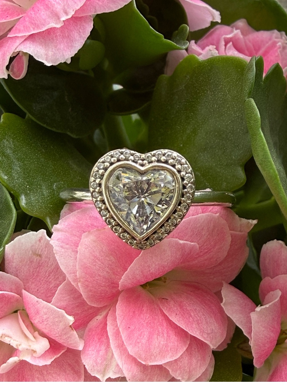 Pandora Sterling Silver Heart Halo Ring